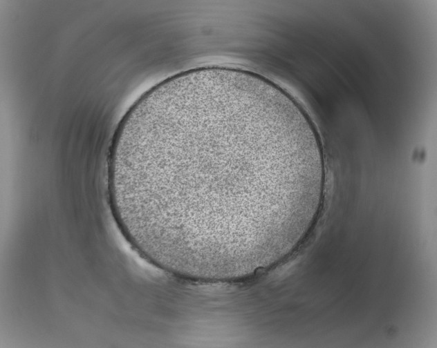 X0000112730999200910011152