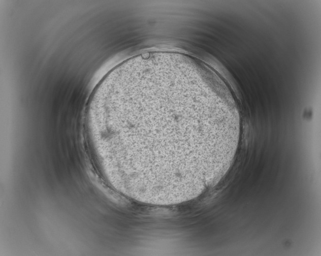 X0000112731002200910011152