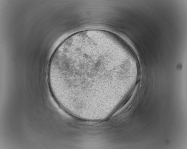 X0000112731005200910011152