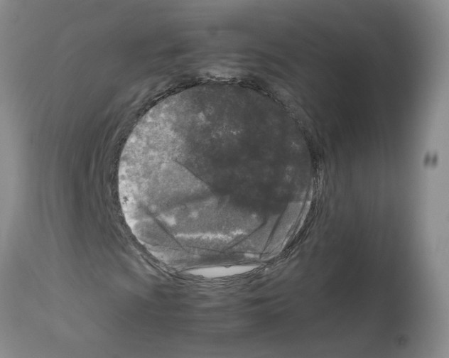 X0000112731009200910011151
