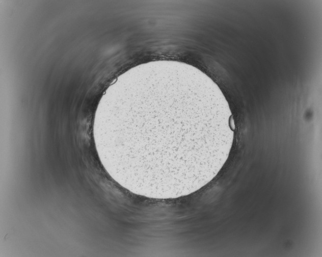 X0000112731010200910011151