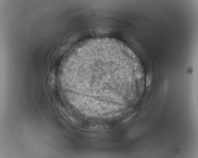 X0000112731011200910011151