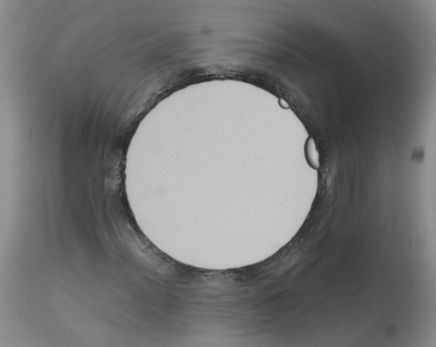 X0000112731012200910011151