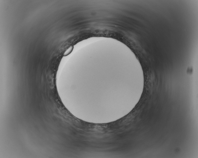 X0000112731013200910011151
