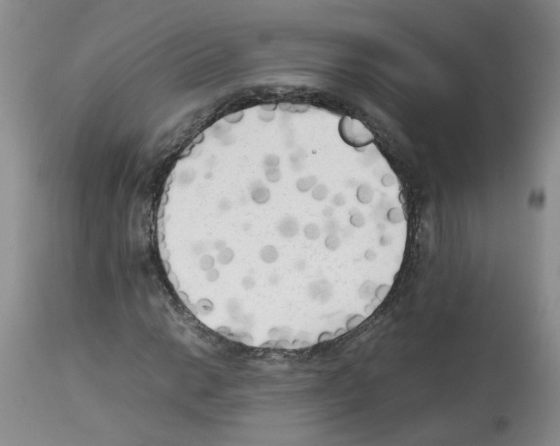 X0000112731014200910011151