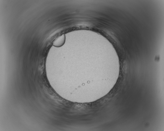 X0000112731015200910011151