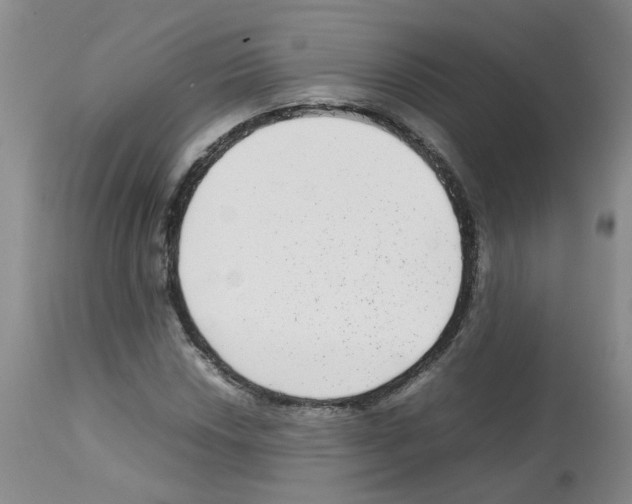 X0000112731018200910011151