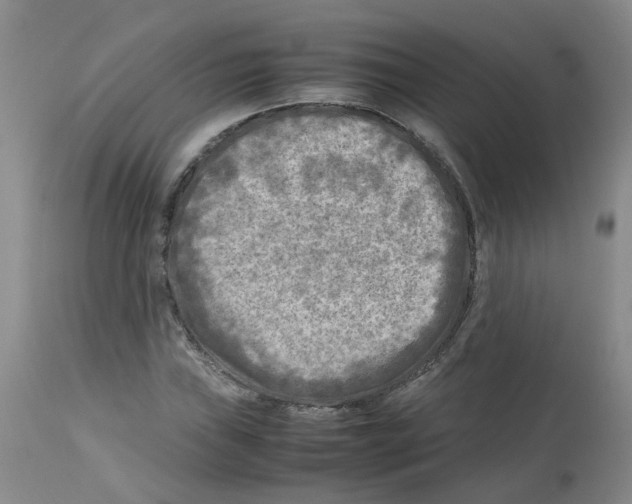 X0000112731019200910011151