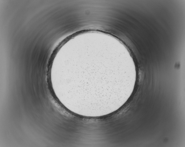 X0000112731020200910011151