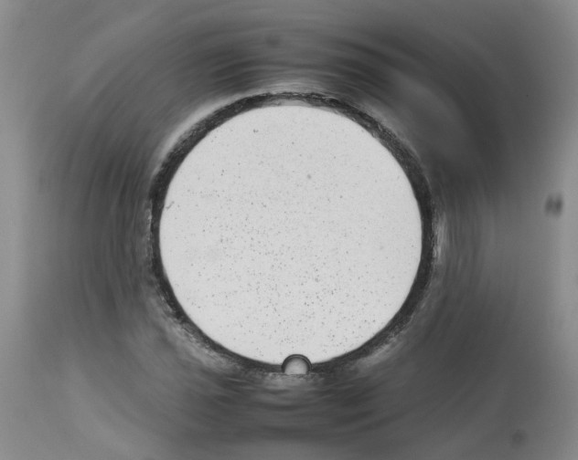 X0000112731021200910011151