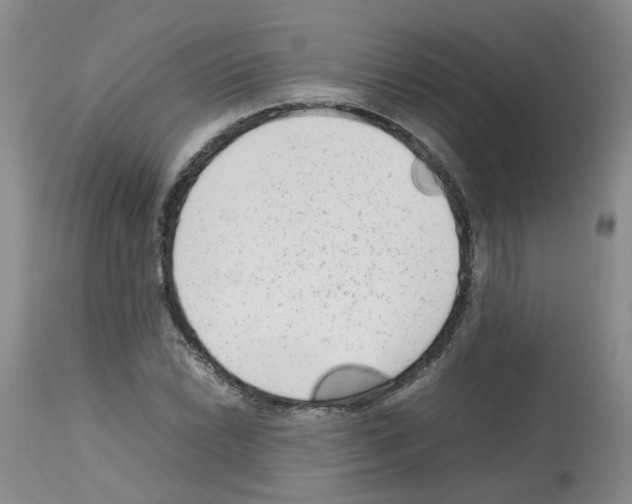 X0000112731022200910011151
