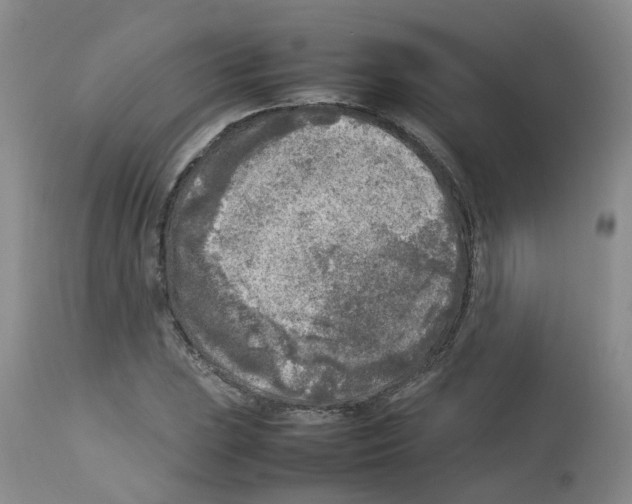 X0000112731023200910011151