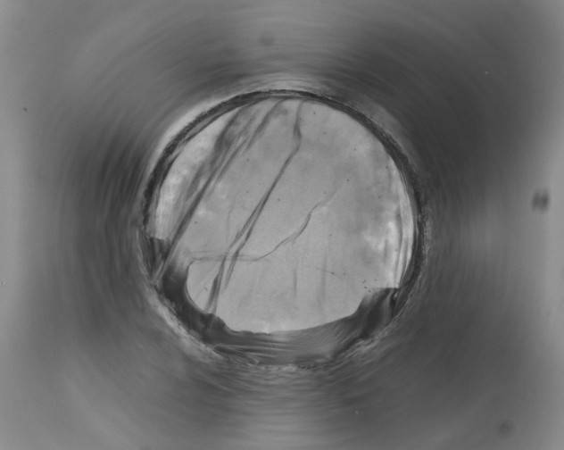 X0000112731024200910011151
