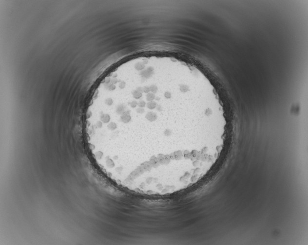 X0000112731025200910011151