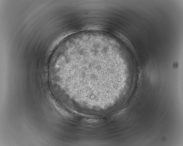 X0000112731027200910011151
