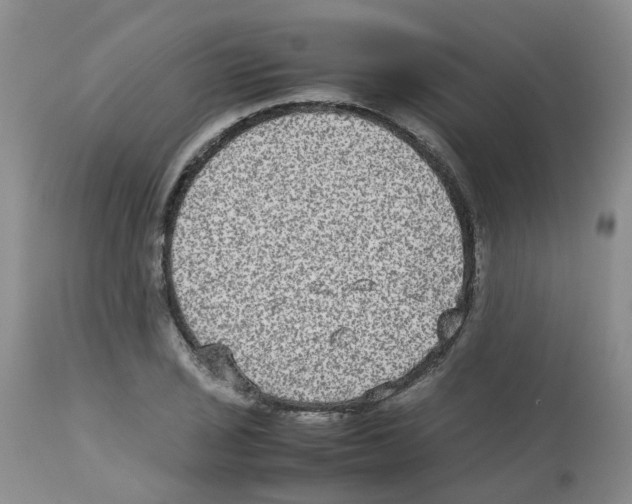 X0000112731029200910011151