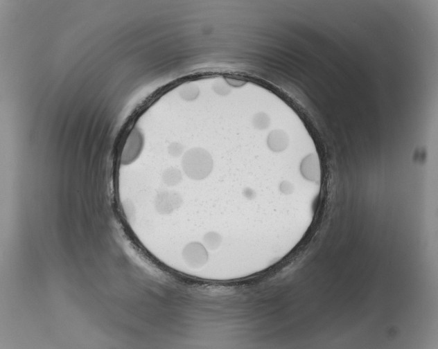 X0000112731030200910011151