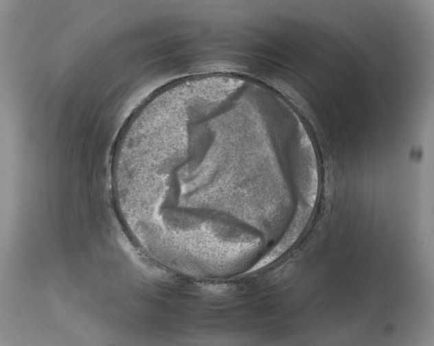 X0000112731031200910011151