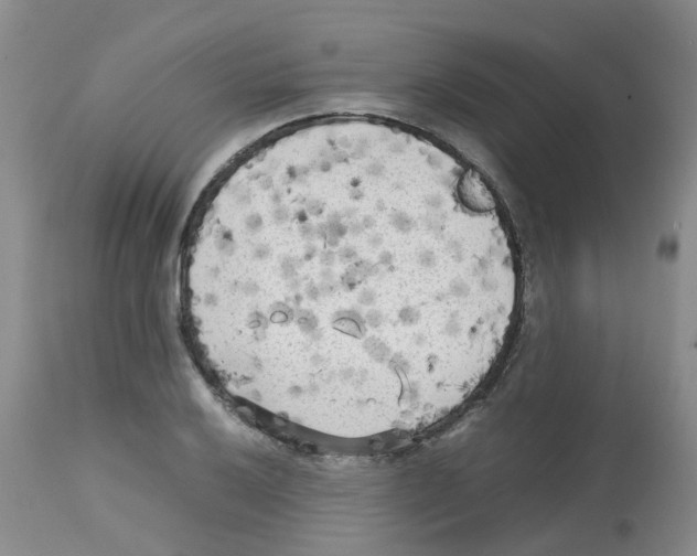 X0000112731032200910011151