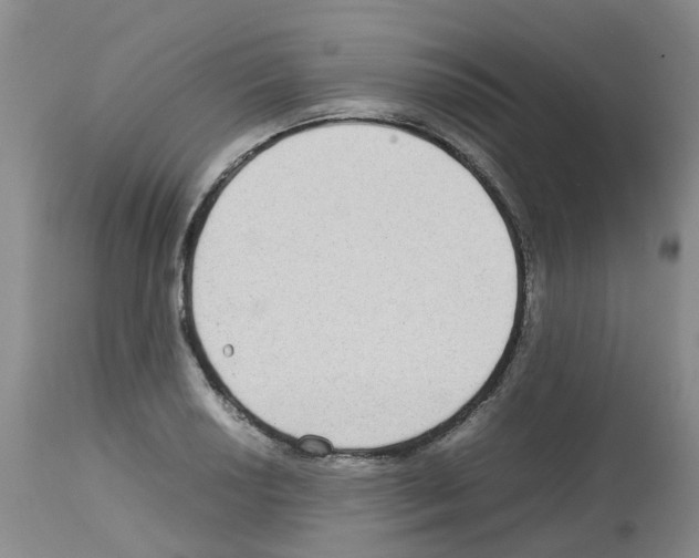 X0000112731034200910011151