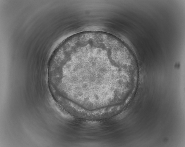 X0000112731035200910011151