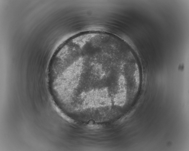X0000112731037200910011151