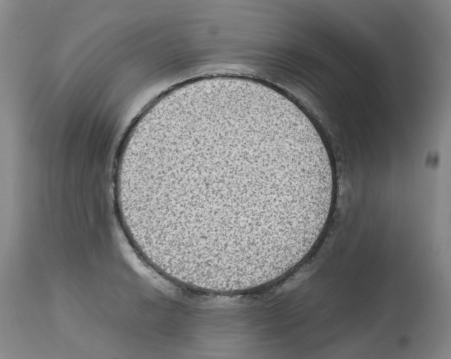 X0000112731038200910011151