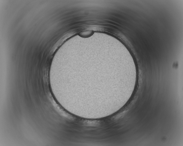 X0000112731041200910011151