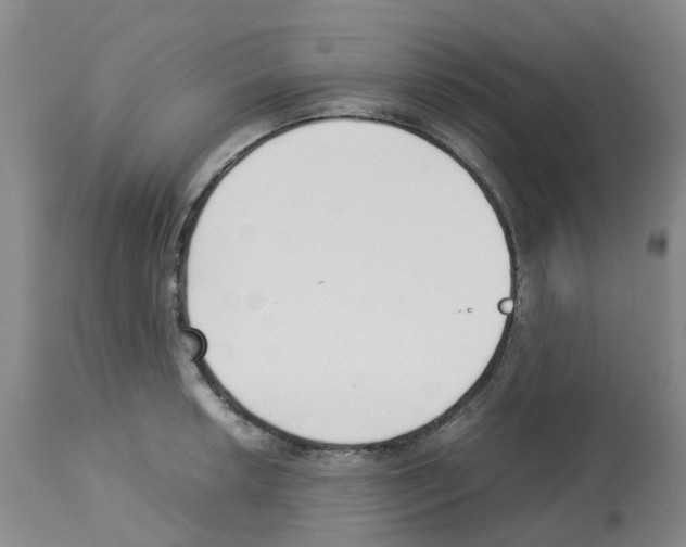 X0000112731042200910011151