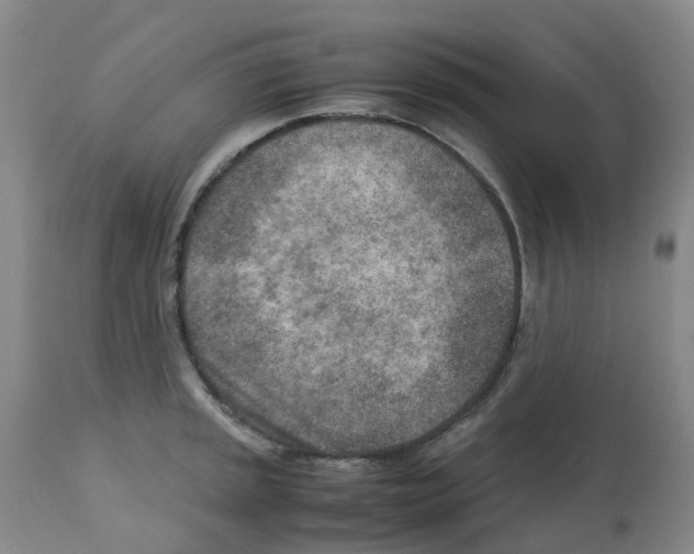 X0000112731045200910011151