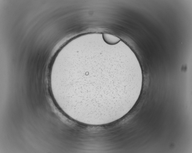 X0000112731046200910011151