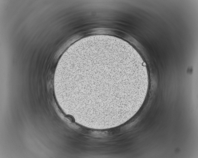 X0000112731049200910011152
