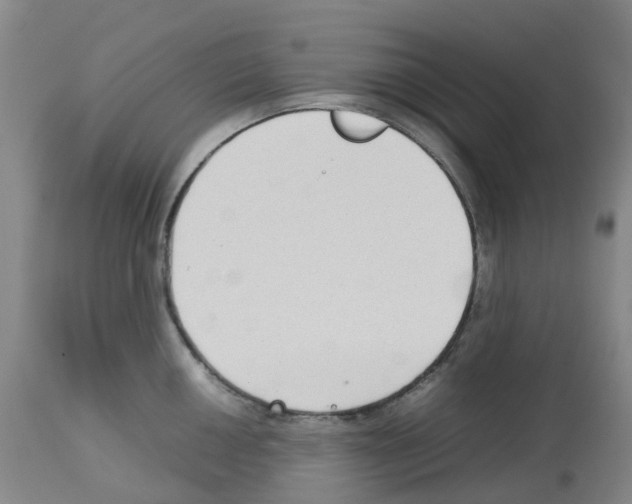 X0000112731050200910011152