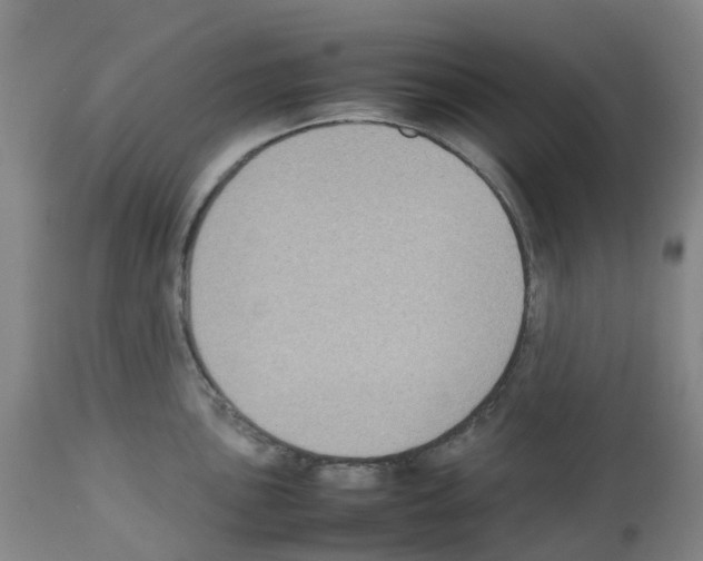 X0000112731051200910011152