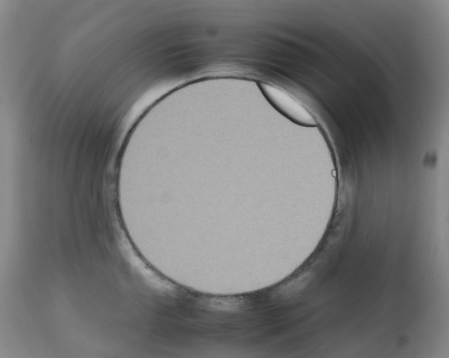 X0000112731053200910011152