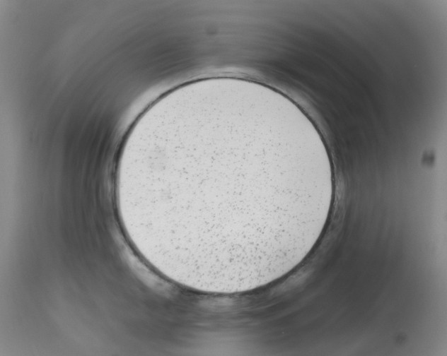 X0000112731054200910011152