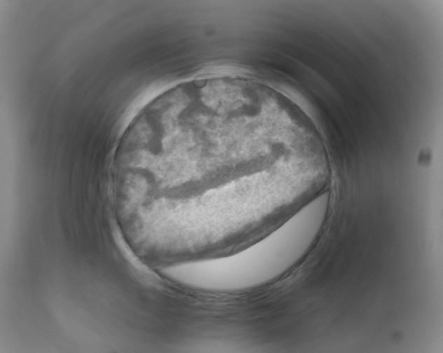 X0000112731055200910011152