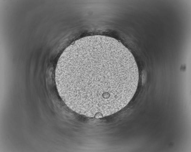 X0000112731059200910011151