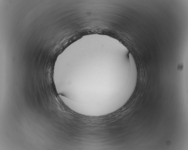 X0000112731060200910011151
