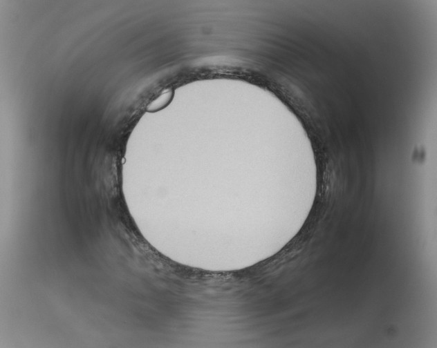 X0000112731062200910011151