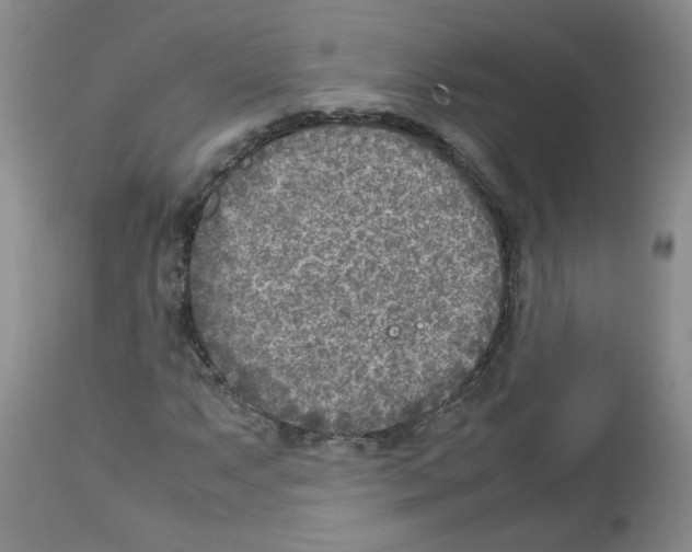 X0000112731063200910011151