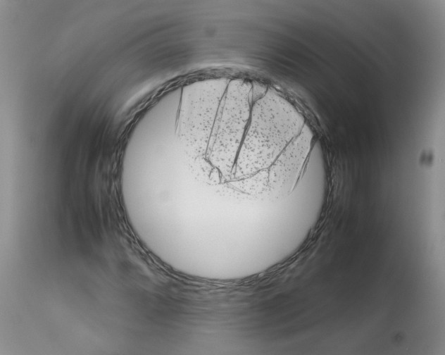 X0000112731064200910011151
