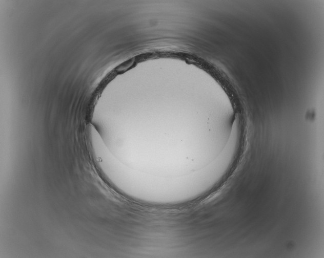 X0000112731065200910011151
