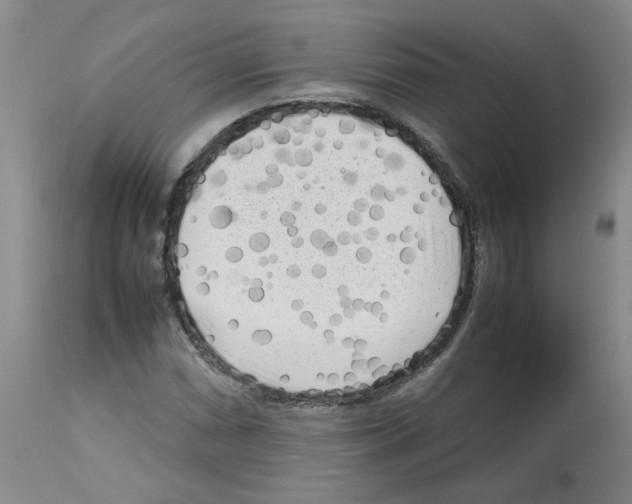 X0000112731066200910011151