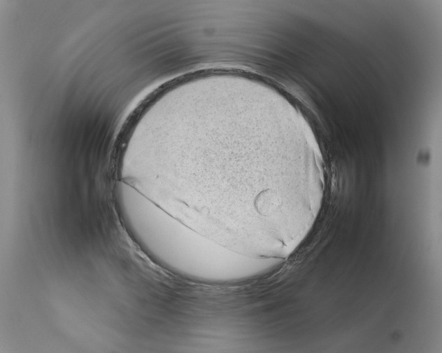 X0000112731068200910011151