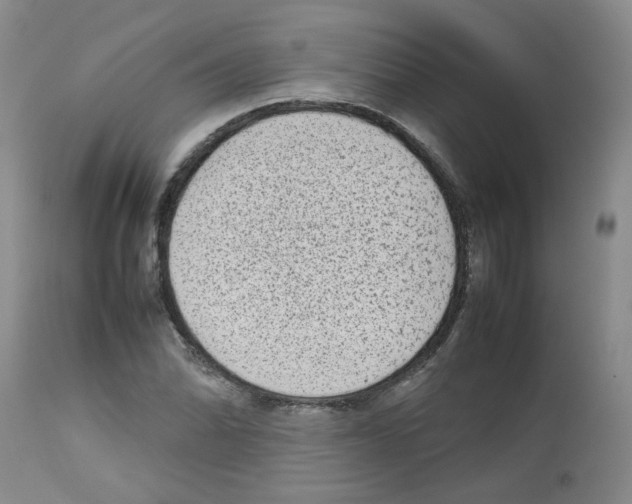 X0000112731070200910011151