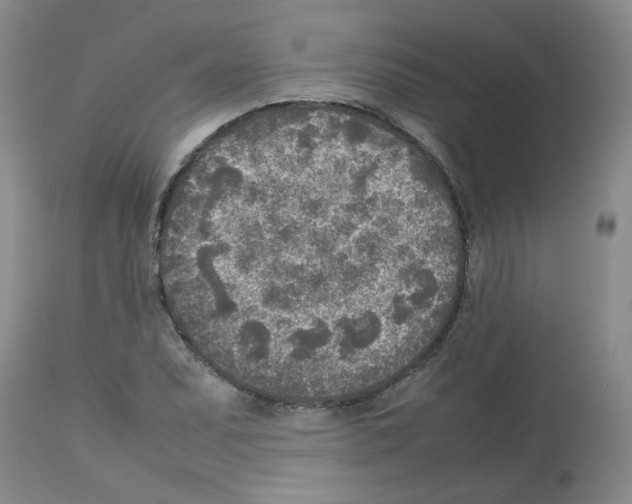 X0000112731071200910011151