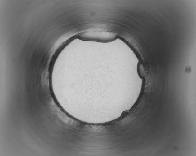 X0000112731072200910011151