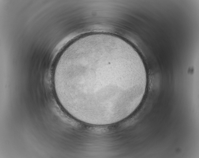 X0000112731074200910011151