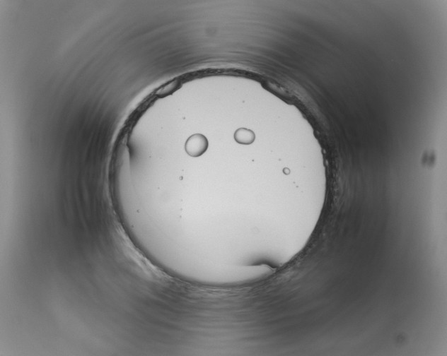 X0000112731076200910011151